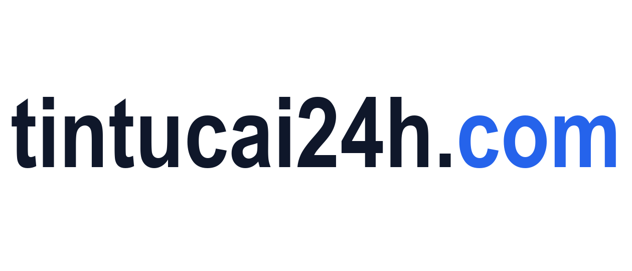 tintucai24h.com